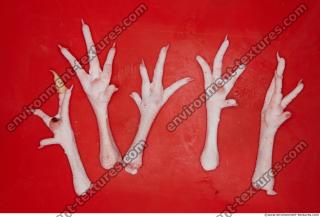 Photo Textures of RAW Legs